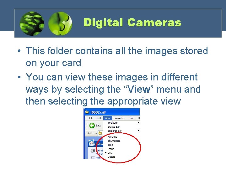 Digital Cameras • This folder contains all the images stored on your card •