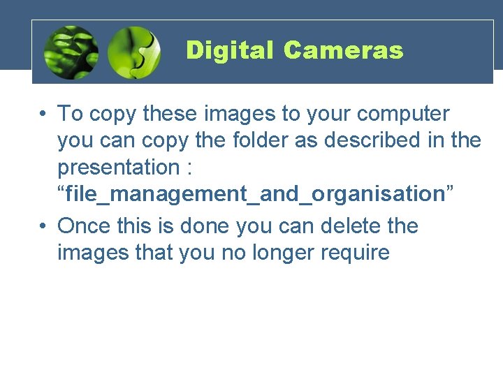Digital Cameras • To copy these images to your computer you can copy the