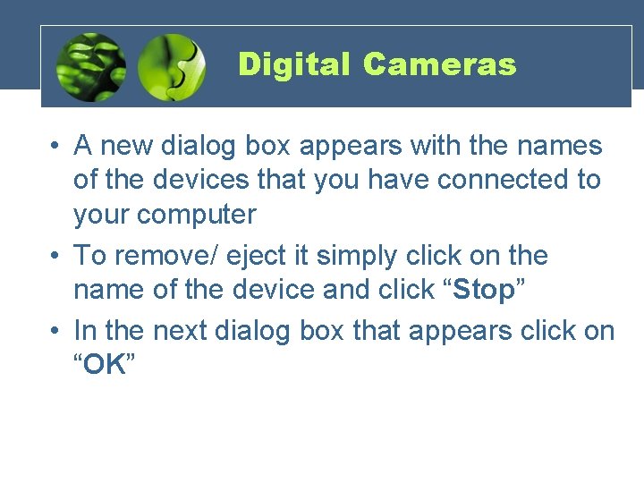 Digital Cameras • A new dialog box appears with the names of the devices