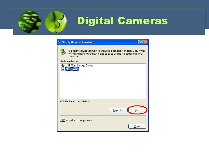 Digital Cameras 