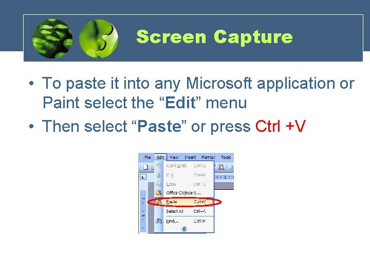 Screen Capture • To paste it into any Microsoft application or Paint select the