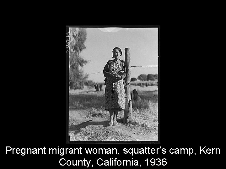 Pregnant migrant woman, squatter’s camp, Kern County, California, 1936 
