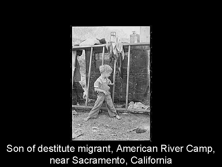 Son of destitute migrant, American River Camp, near Sacramento, California 