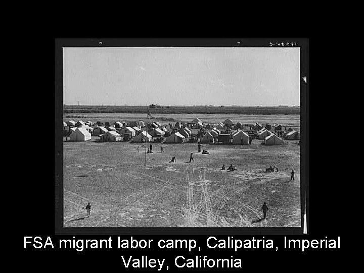 FSA migrant labor camp, Calipatria, Imperial Valley, California 