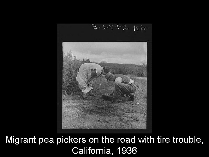 Migrant pea pickers on the road with tire trouble, California, 1936 