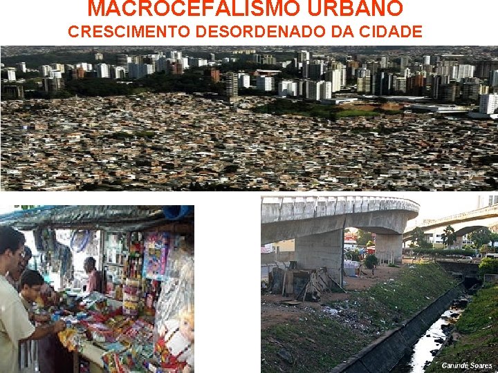 MACROCEFALISMO URBANO CRESCIMENTO DESORDENADO DA CIDADE 