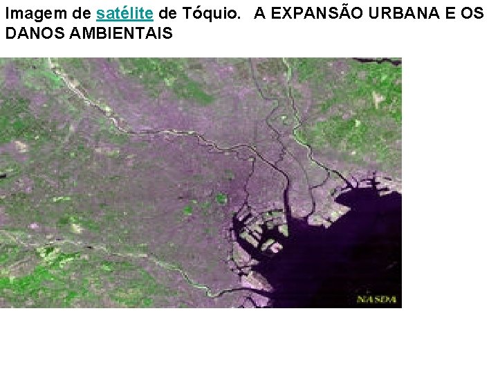 Imagem de satélite de Tóquio. A EXPANSÃO URBANA E OS DANOS AMBIENTAIS 