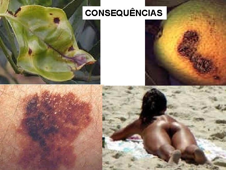 CONSEQUÊNCIAS 