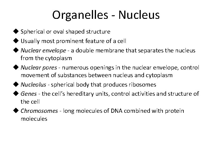 Organelles - Nucleus u Spherical or oval shaped structure u Usually most prominent feature Organelles - Nucleus u Spherical or oval shaped structure u Usually most prominent feature