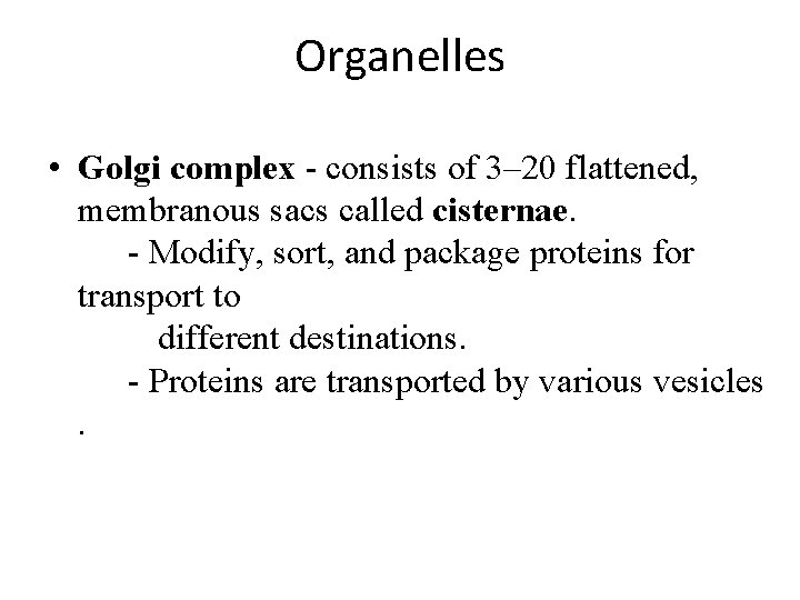 Organelles • Golgi complex - consists of 3– 20 flattened, membranous sacs called cisternae. Organelles • Golgi complex - consists of 3– 20 flattened, membranous sacs called cisternae.