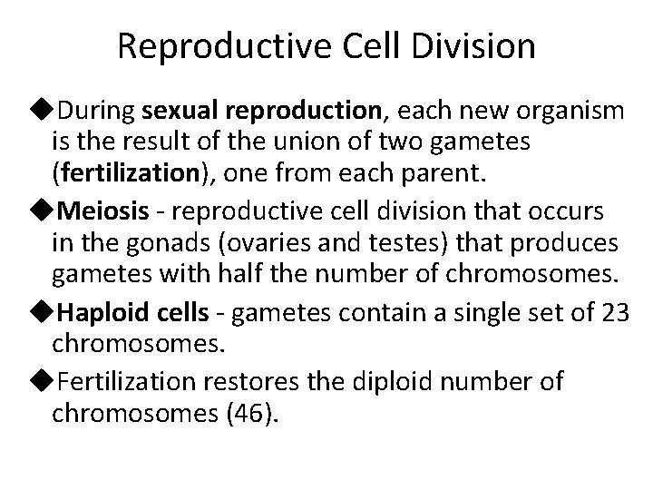 Reproductive Cell Division u. During sexual reproduction, each new organism is the result of Reproductive Cell Division u. During sexual reproduction, each new organism is the result of