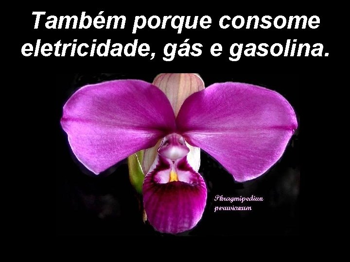 Também porque consome eletricidade, gás e gasolina. 