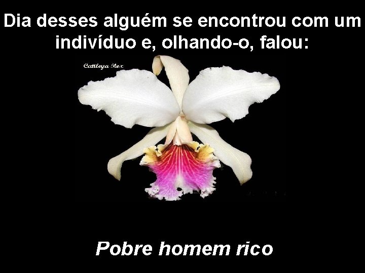 Dia desses alguém se encontrou com um indivíduo e, olhando-o, falou: Pobre homem rico