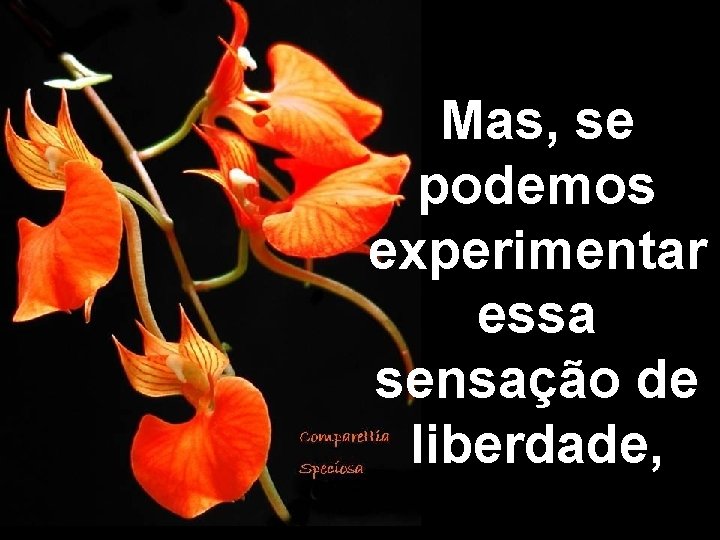 Mas, se podemos experimentar essa sensação de liberdade, 