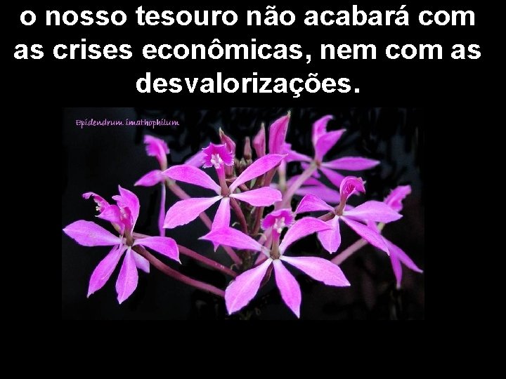 o nosso tesouro não acabará com as crises econômicas, nem com as desvalorizações. 