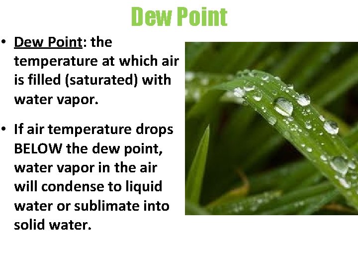 Dew Point • Dew Point: the temperature at which air is filled (saturated) with