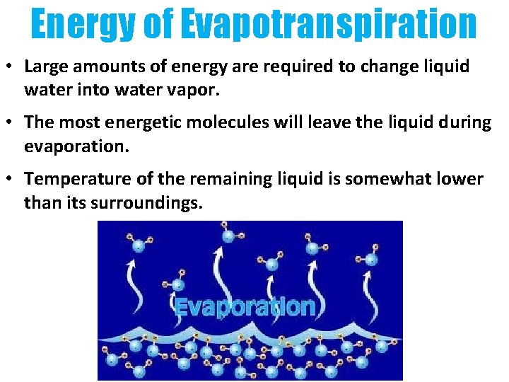 Energy of Evapotranspiration • Large amounts of energy are required to change liquid water