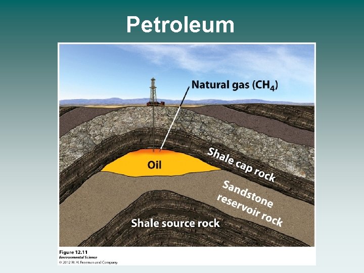 Petroleum 