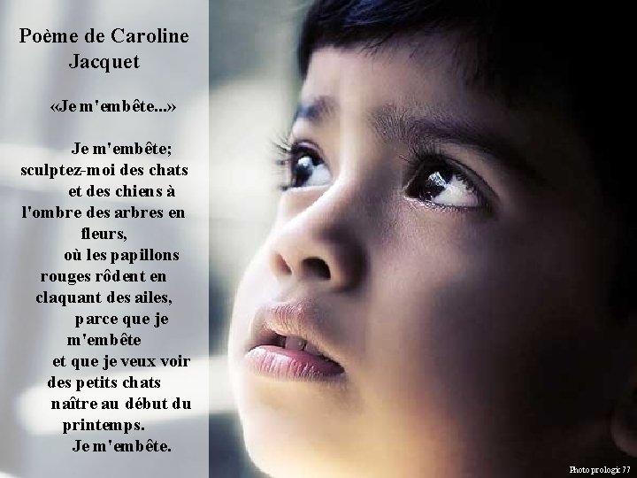 Poème de Caroline Jacquet «Je m'embête. . . » Je m'embête; sculptez-moi des chats