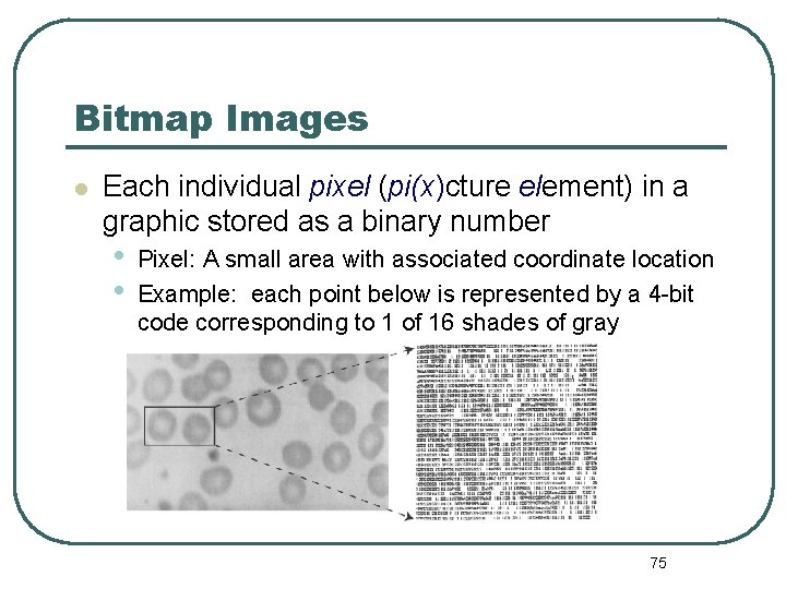 Bitmap Images Each individual pixel (pi(x)cture element) in a graphic stored as a binary
