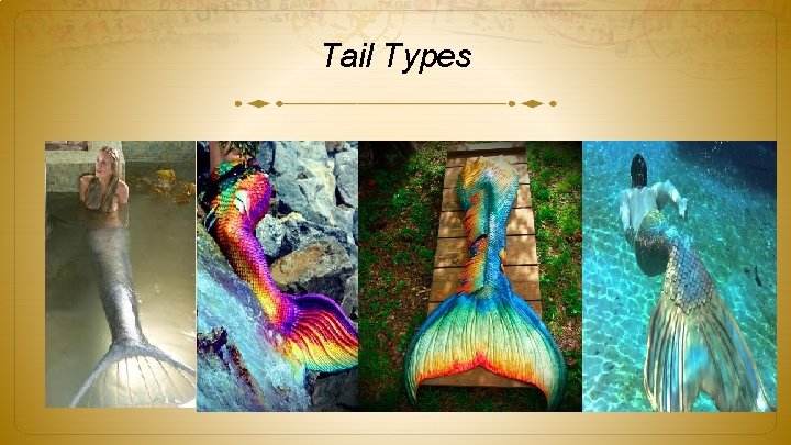 Tail Types 