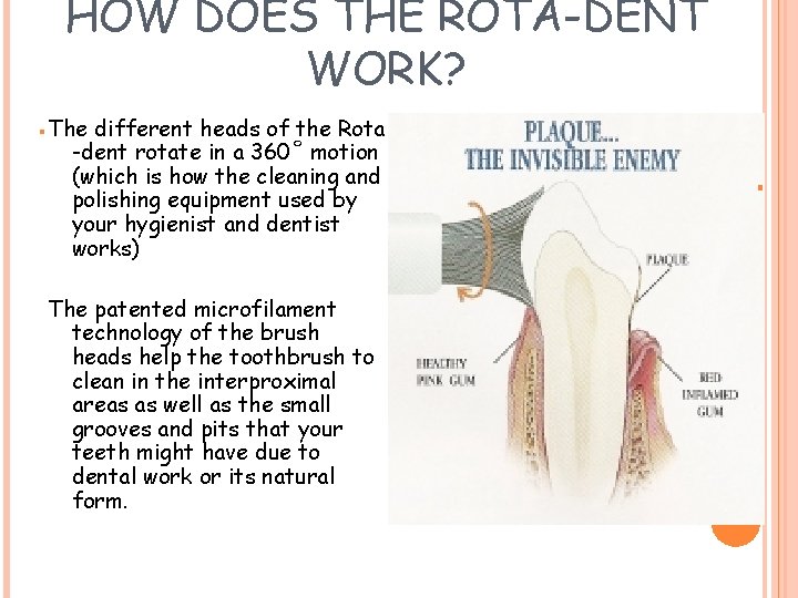 HOW DOES THE ROTA-DENT WORK? The different heads of the Rota -dent rotate in