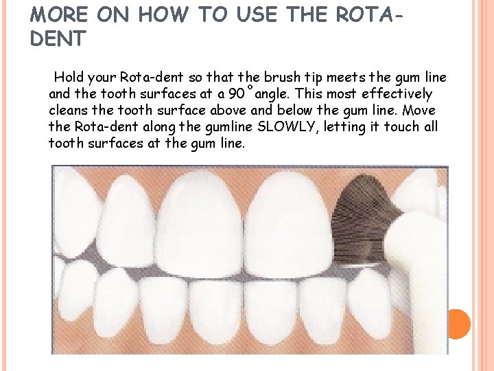 MORE ON HOW TO USE THE ROTADENT Hold your Rota-dent so that the brush