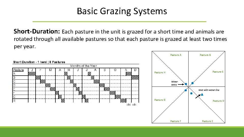 Basic Grazing Systems Short-Duration: Each pasture in the unit is grazed for a short