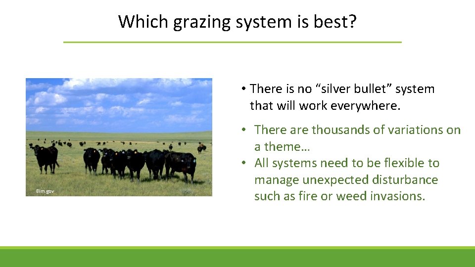 Which grazing system is best? • There is no “silver bullet” system that will