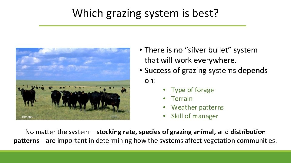 Which grazing system is best? • There is no “silver bullet” system that will