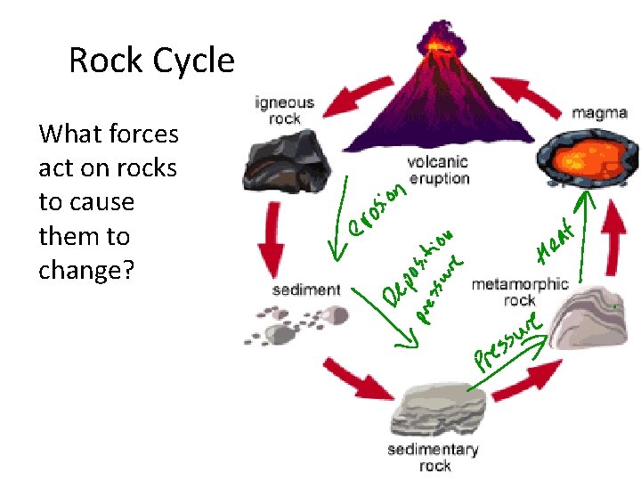 Rock Cycle What forces act on rocks to cause them to change? 