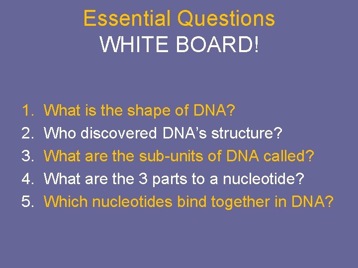 Essential Questions WHITE BOARD! 1. 2. 3. 4. 5. What is the shape of