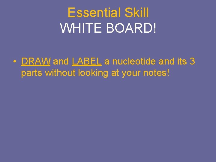 Essential Skill WHITE BOARD! • DRAW and LABEL a nucleotide and its 3 parts