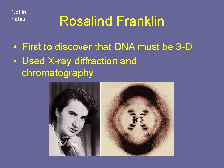 Not in notes Rosalind Franklin • First to discover that DNA must be 3