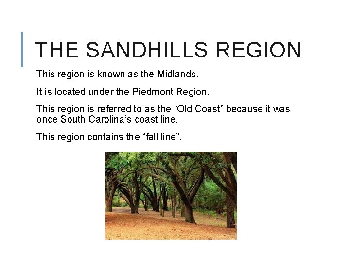 THE SANDHILLS REGION This region is known as the Midlands. It is located under