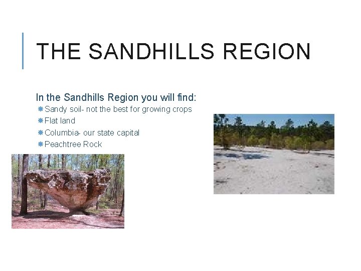 THE SANDHILLS REGION In the Sandhills Region you will find: Sandy soil- not the