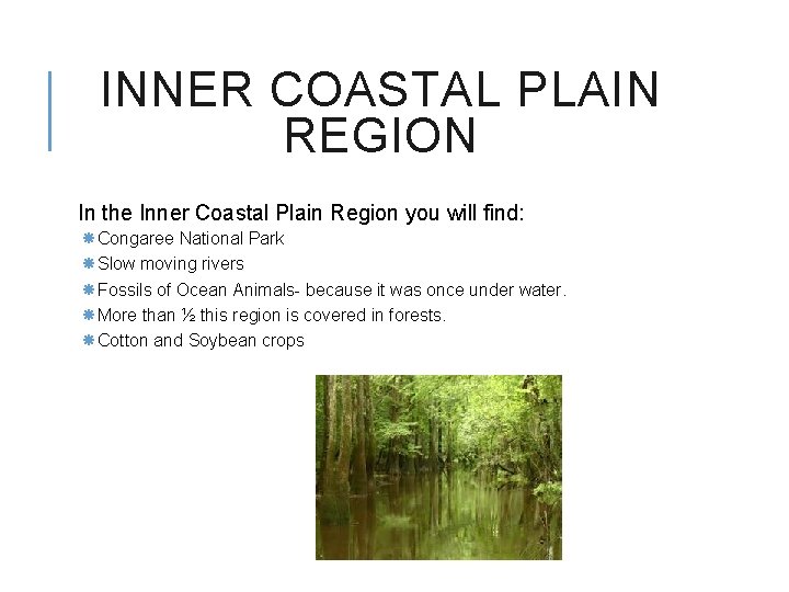 INNER COASTAL PLAIN REGION In the Inner Coastal Plain Region you will find: Congaree