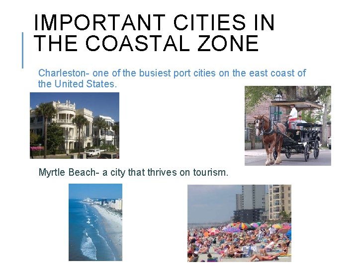 IMPORTANT CITIES IN THE COASTAL ZONE Charleston- one of the busiest port cities on
