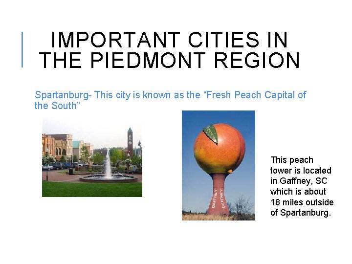 IMPORTANT CITIES IN THE PIEDMONT REGION Spartanburg- This city is known as the “Fresh