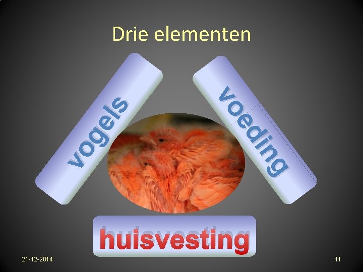 g in ed vo vo ge ls Drie elementen huisvesting 21 -12 -2014 11