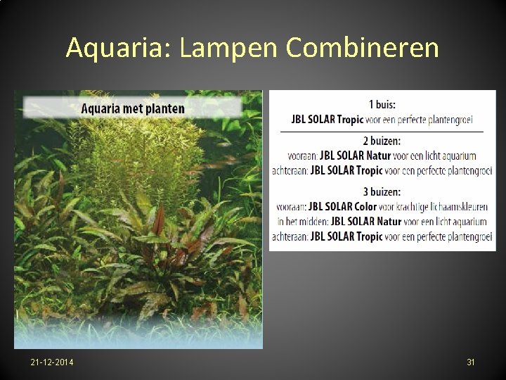 Aquaria: Lampen Combineren 21 -12 -2014 31 
