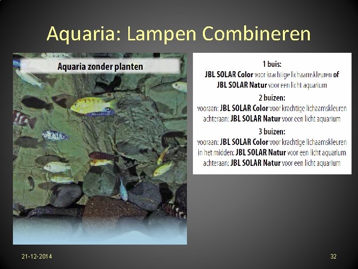 Aquaria: Lampen Combineren 21 -12 -2014 32 