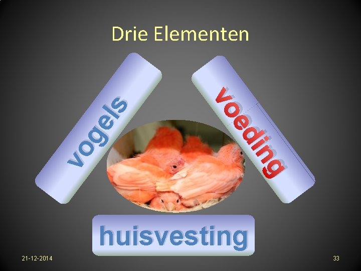 ng di e vo vo ge ls Drie Elementen huisvesting 21 -12 -2014 33