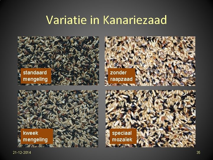 Variatie in Kanariezaad standaard mengeling zonder raapzaad kweek mengeling speciaal mozaïek 21 -12 -2014