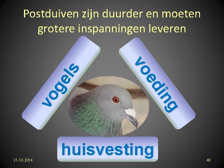 21 -12 -2014 g in ed vo vo ge ls Postduiven zijn duurder en