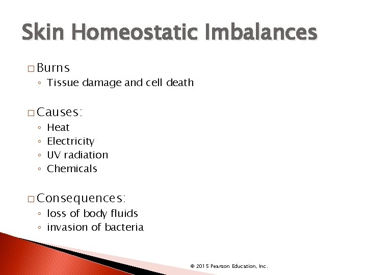 Skin Homeostatic Imbalances � Burns ◦ Tissue damage and cell death � Causes: ◦