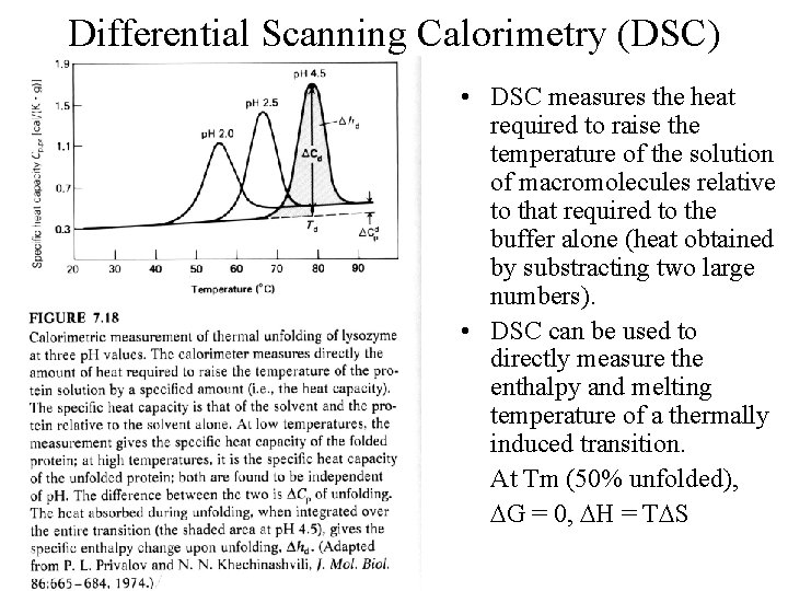 Differential Scanning Calorimetry (DSC) • DSC measures the heat required to raise the temperature