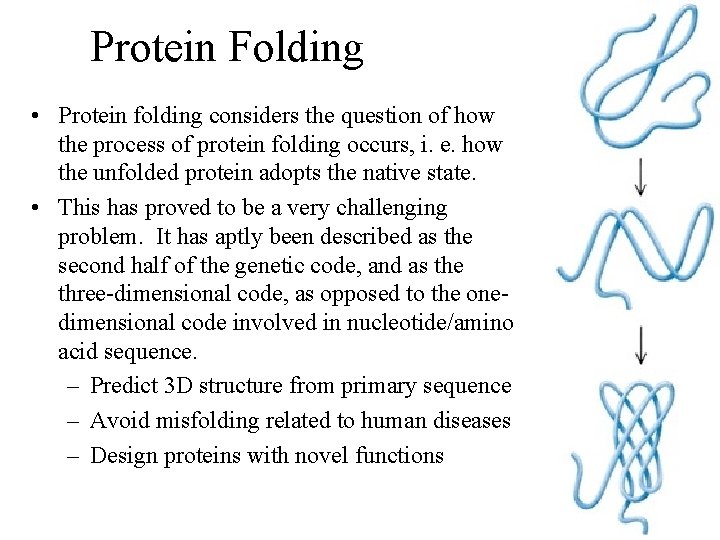 Protein Folding • Protein folding considers the question of how the process of protein