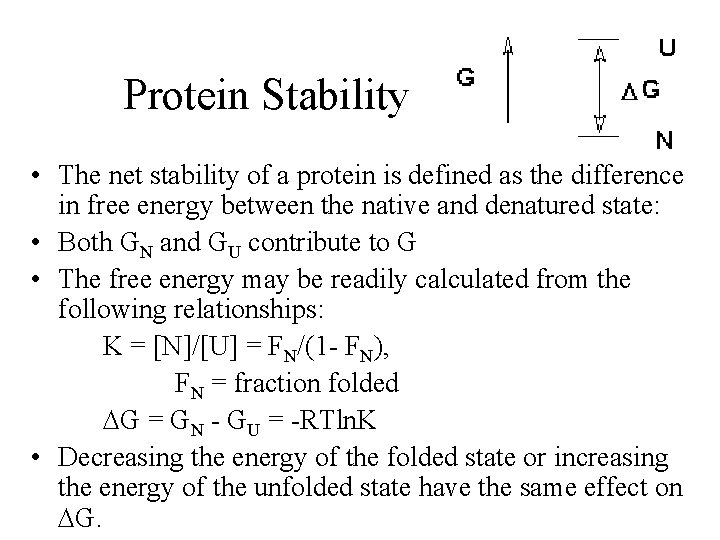 Protein Stability • The net stability of a protein is defined as the difference