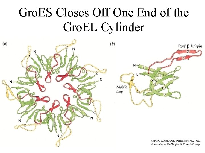 Gro. ES Closes Off One End of the Gro. EL Cylinder 